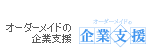 オーダーメイドの企業支援