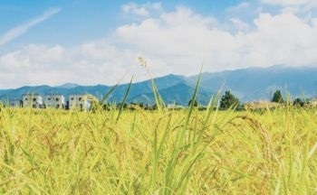 北陸テクノ株式会社